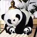 AVSHUB Soft Toy Panda Beutiful Toy for New Born Baby and Stuffed with 2 Babies Toy for Gift Girlfriend, Kids, Girl's Birthday (50cm)
