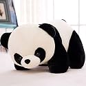 AVSHUB Soft Toy Panda Beutiful Toy for New Born Baby Soft and Stuffed Plushy Baby Toy for Gift Girlfriend, Kids, Girl's Birthday (50 cm)