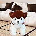 AVSHUB Soft Toy Pomeranian Dog Beutiful Toy for New Born Baby Soft and Stuffed Toy for Gift Girlfriend, Kids, Girl's Birthday (50cm)