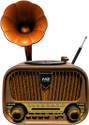 AVTANE Classic Retro Bluetooth Speaker with FM, USB, AUX & Hands Free Calling Speaker FM Radio