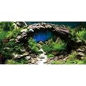 30x18 in Arch Stone Aquarium Backdrop Aquatic Plant Fish Tank Background