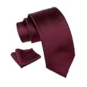 Axlon Men's Solid Micofiber Formal Tie Necktie with Pocket Square Set for Men (40 Colors) (AXSOLID_PN1)