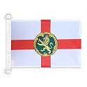AZ FLAG Alderney Island Boat Flag 12x18 in Mesh Polyester Plastic Rings
