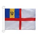 AZ FLAG Barbados Naval Ensign Boat Flag 12x18 in Plastic Rings