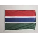 AZ FLAG Gambia Boat Flag 12x18 in Mesh Polyester Plastic Rings