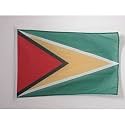 AZ FLAG Guyana Boat Flag 12x18 in Mesh Polyester Plastic Rings