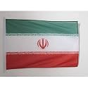 AZ FLAG Iran Boat Flag 12x18 in Mesh Polyester Plastic Rings