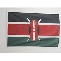AZ FLAG Kenya Boat Flag 12x18 in Mesh Polyester Plastic Rings