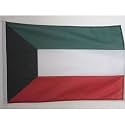 AZ FLAG Kuwait Boat Flag 12x18 in Mesh Polyester Plastic Rings