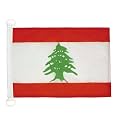 AZ FLAG Lebanon Boat Flag 12x18 in Mesh Polyester Plastic Rings