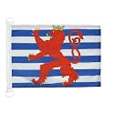 AZ FLAG Luxembourg red lions Boat Flag 12x18 in Plastic Rings