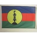AZ FLAG New Caledonia Boat Flag 12x18 in Mesh Polyester Plastic Rings