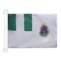 AZ FLAG Nigeria Naval Ensign Boat Flag 12x18 in Plastic Rings