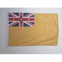 AZ FLAG Niue Boat Flag 12x18 in Mesh Polyester Plastic Rings