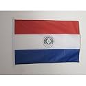 AZ FLAG Paraguay Boat Flag 12x18 in Mesh Polyester Plastic Rings