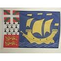 AZ FLAG Saint Pierre and Miquelon Boat Flag 12x18 in Plastic Rings