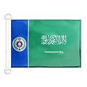 AZ FLAG Saudi Arabia Naval Ensign Boat Flag 12x18 in Plastic Rings