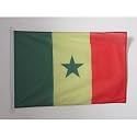 AZ FLAG Senegal Boat Flag 12x18 in Mesh Polyester Plastic Rings