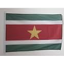 AZ FLAG Suriname Boat Flag 12x18 in Mesh Polyester Plastic Rings