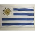 AZ FLAG Uruguay Boat Flag 12x18 in Mesh Polyester Plastic Rings