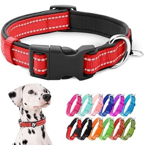 azuza reflective dog collar animal collar soft neoprene padded pet collar with id tag ring adjustable for large dogs red l