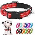 azuza Reflective Dog Collar, Animal Collar, Soft Neoprene Padded Pet Collar with ID Tag Ring, Adjustable for Large Dogs, Red, L
