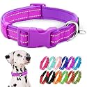 azuza Reflective Dog Collar Animal Collar Super Soft Neoprene Padded for Large Dogs Safe and Comfy