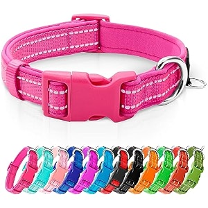 azuza reflective dog collar neoprene padded medium dog collar hot pink m