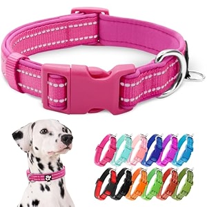 azuza reflective dog collar neoprene padded large dog collar hot pink l