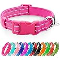 azuza Reflective Dog Collar, Neoprene Padded Medium Dog Collar, Hot Pink, M