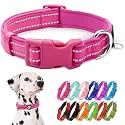 azuza Reflective Dog Collar, Neoprene Padded Large Dog Collar, Hot Pink, L