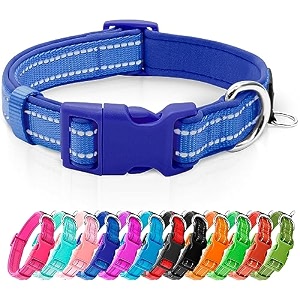 azuza reflective dog collar neoprene padded small dog collar royal blue s