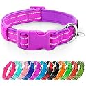 azuza Small Dog Collar Reflective Super Soft Neoprene Padded Dog Collars with ID Tag Ring