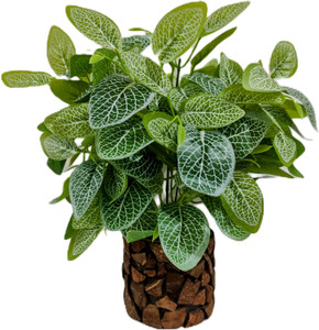 baarig artificial plant  with pot