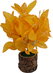 baarig natural looking money plant with stylish coconut pot artificial plant  with pot