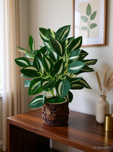 baarig natural looking money plant with stylish coconut pot artificial plant  with pot