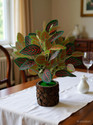 BAARIG Natural Looking Money Plant with Stylish Coconut Pot Artificial Plant  with Pot