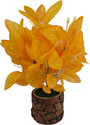 BAARIG Natural Looking Money Plant with Stylish Coconut Pot Artificial Plant  with Pot