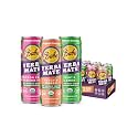 Babe Organic Yerba Mate Energy Drinks | NO ADDED SUGAR | 150mg Plant-Based Caffeine | Natural Yerba Mate Tea with No Crash, No Jitters - Sample Pack NO ADDED SUGAR (6 x 12oz cans)