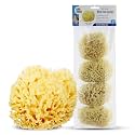 Baby Buddy Natural Wool Sea Sponge, Newborn Bath Time Essential, Ultra Soft for Delicate Skin, Hypoallergenic and Biodegradable, 4 Pack