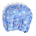Baby Pillow – Soft, and Comfortable for Babies – Ideal for Rest and Support – Seed Filling, Mustard Seeds Pillow for New Born Baby, for 0 to 12 Months Babies (Sky Blue - Printed)