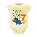 baby wish Monthly Birthday Milestone Romper for