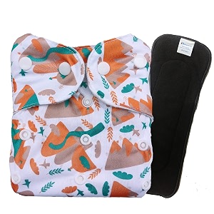 Babymoon Washable Reusable Cloth Diaper Pocket