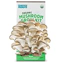 Back to the Roots Organic Oyster Mushroom Grow Kit, Harvest Gourmet Mushrooms In 10 Days