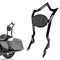 Backrest Sissy Bar W/Rotary Latches Clips Compatible With Harley Touring