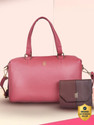 Baggit Women Multicolor Handbag Pack of 2