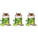 BAIDYANATH AYURVED Amlaki (Amla) 60 Tablets - Natural Health Booster for Enhanced Hair, Skin, Digestive Health, Metabolism Support and Sugar Level Management (Pack of 3)