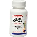 Baidyanath Asli Ayurved Giloy Satwa, 40 gm