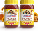Baidyanath Honey 250 g pack of 2