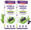Baidyanath Karela Jamun Juice| Controls Blood Sugar Levels| 100% Natural- 1L